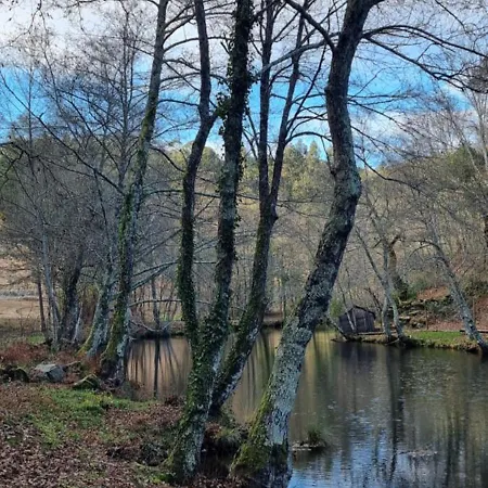Quinta Da Canda * Cerva